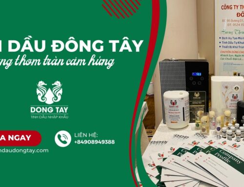 Cách sử dụng tinh dầu để thư giãn và tăng cường tinh thần