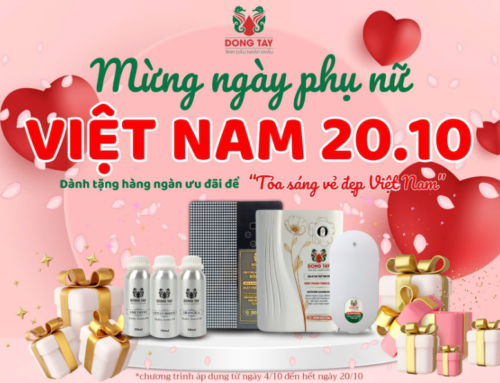 20/10 – SALE LỚN – MUA COMBO MÁY TINH DẦU + CHAI TINH DẦU 500ML TẶNG THÊM 1 CHAI TINH DẦU MÙI HƯƠNG BẤT KÌ