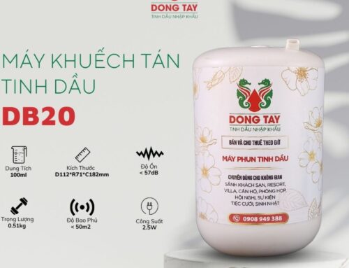 Máy khuếch tán hay đèn xông tinh dầu nên chọn cái nào? So sánh chi tiết