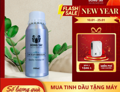 FLASH SALE CUỐI NĂM: ƯU ĐÃI LỚN TỪ TINH DẦU ĐÔNG TÂY ĐÓN TẾT 2025