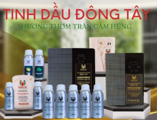 MÁY PHUN TINH DẦU CAO CẤP – GIẢI PHÁP HOÀN HẢO CHO KHÔNG GIAN BIỆT THỰ, NHÀ PHỐ