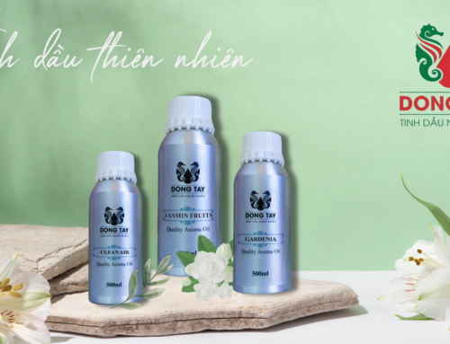 6 lợi ích không ngờ từ tinh dầu thiên nhiên mà bạn có thể chưa biết