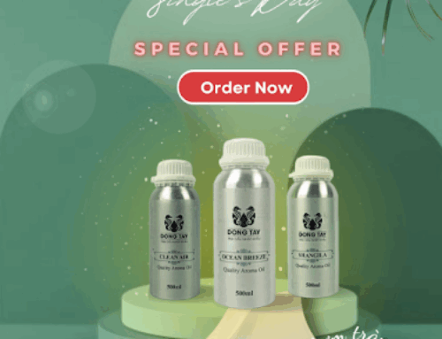 10 lưu ý quan trọng khi sử dụng máy khuếch tán tinh dầu bạn cần biết