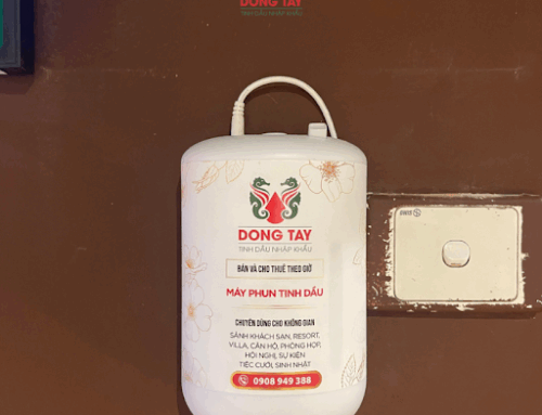 Nên xông tinh dầu trong bao lâu để đạt hiệu quả tốt nhất?