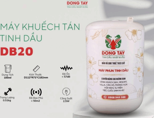Top máy xông tinh dầu tại Đà Nẵng được khách sạn và spa tin dùng