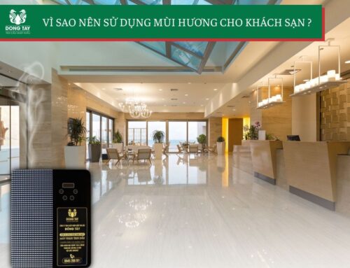 Máy xông tinh dầu cao cấp cho khách sạn, spa, showroom