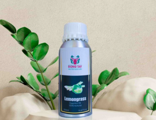 Tinh dầu thơm cho phòng khách sạn 4 sao – Bí quyết tạo trải nghiệm đẳng cấp