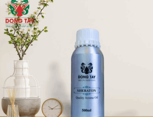 Tinh dầu thơm thiên nhiên – Xu hướng chăm sóc không gian hiện đại