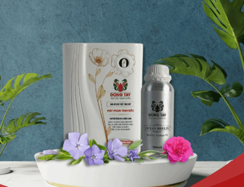 Ứng dụng tinh dầu cao cấp Bình Dương trong khách sạn và chuỗi bán lẻ