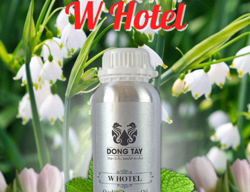 Thiết kế mùi hương thương hiệu là gì? Vì sao doanh nghiệp ngày càng quan tâm?