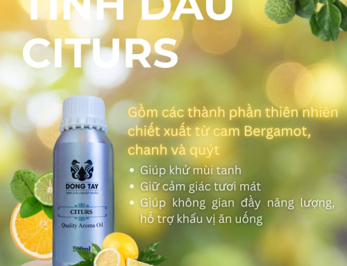 Nơi Cung Cấp Tinh Dầu Thơm Chất Lượng Và Máy Khuếch Tán Tại Hà Nội