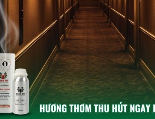 Vì Sao Khách Sạn Cần Tạo Mùi Hương? Giải Pháp Nâng Tầm Trải Nghiệm Khách Hàng