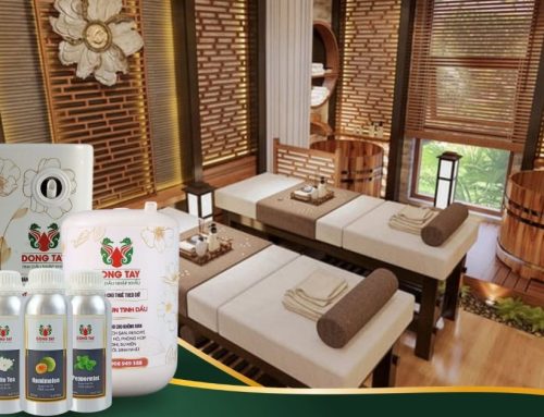 Bí Quyết Tạo Mùi Hương Spa Chuyên Nghiệp Để Thư Giãn Và Giữ Chân Khách Hàng