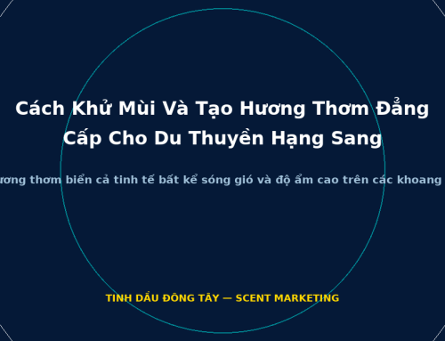 Cách Khử Mùi Và Tạo Hương Thơm Đẳng Cấp Cho Du Thuyền Hạng Sang
