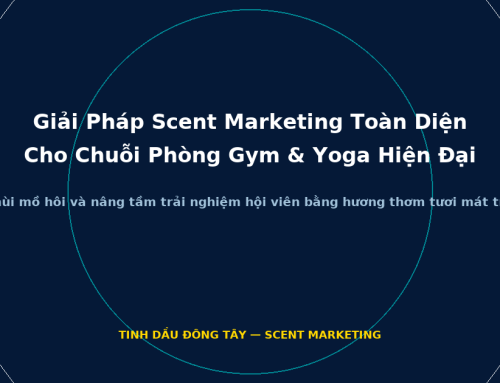 Giải Pháp Scent Marketing Toàn Diện Cho Chuỗi Phòng Gym & Yoga Hiện Đại