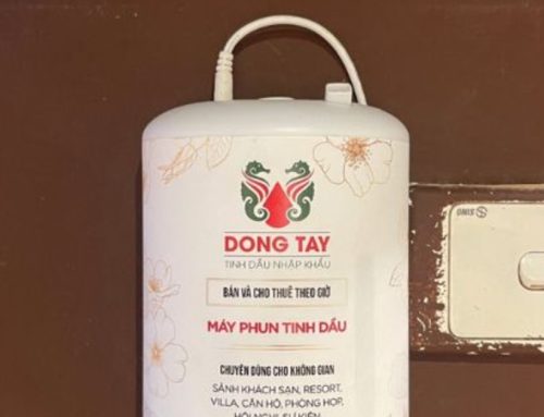 Hướng Dẫn Sử Dụng Máy Khuếch Tán Tinh Dầu Bền Bỉ Và Tiết Kiệm Nhất