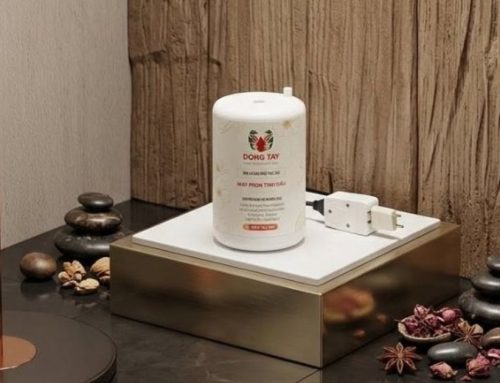 Mua máy xông tinh dầu tốt tại TP.HCM chất lượng, bảo hành dài hạn