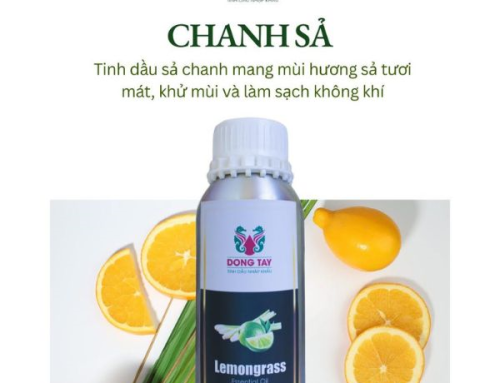 Nơi Cung Cấp Sỉ Tinh Dầu Nước Hoa Cao Cấp, Chiết Xuất Thiên Nhiên Giá Tốt