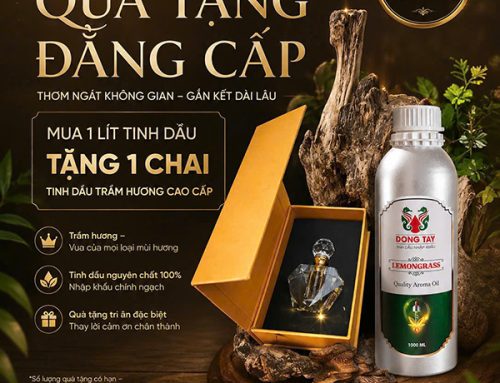 Chương Trình Tri Ân Khách Hàng Tinh Dầu Đông Tây: Gửi Lời Cảm Ơn Bằng Những Món Quà Đặc Biệt