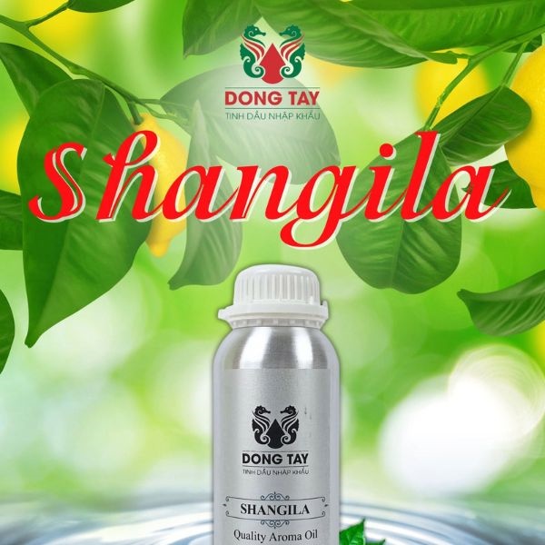 Tinh dầu thiên nhiên Shangila cao cấp mang lại cảm giác tươi mát, hỗ trợ cải thiện giấc ngủ và sức khỏe