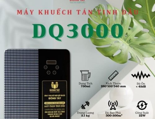 Top máy phun tinh dầu cho không gian lớn đáng mua nhất năm 2026