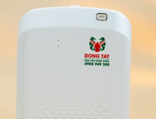 Bí Quyết Chọn Mùi Hương Showroom Ô Tô, Thời Trang Giúp Tăng Trải Nghiệm Khách Hàng