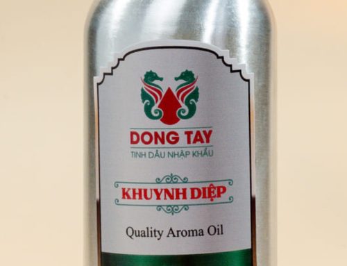 Scent Marketing: 5 Bước Xây Dựng Mùi Hương Thương Hiệu (Signature Scent) Độc Bản