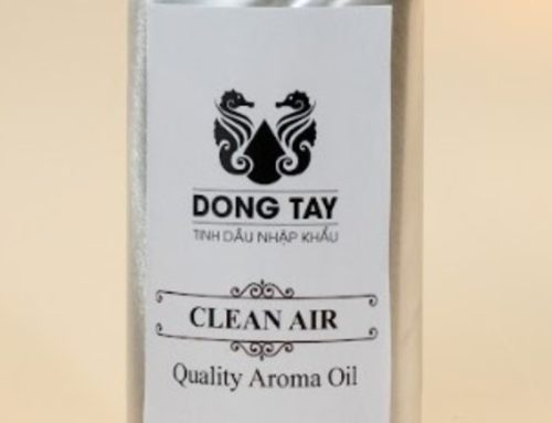 Showroom Nên Dùng Mùi Hương Gì? Gợi Ý Mùi Thơm Sang Trọng Hút Khách