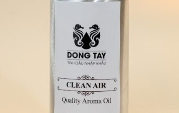 Showroom Nên Dùng Mùi Hương Gì? Gợi Ý Mùi Thơm Sang Trọng Hút Khách