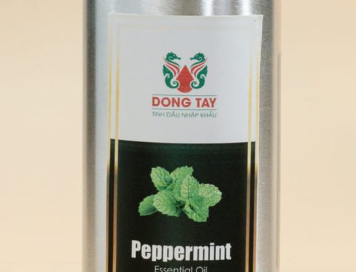 Spa Nên Dùng Tinh Dầu Gì? 7 Mùi Tinh Dầu Trị Liệu, Thư Giãn Được Yêu Thích Nhất