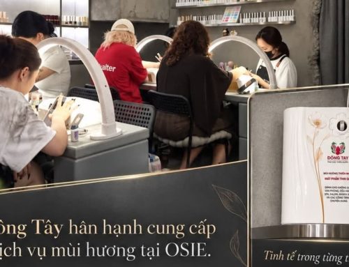 Spa Nên Dùng Tinh Dầu Gì Để Khách Thư Giãn Và Khử Sạch Mùi Ẩm Mốc?