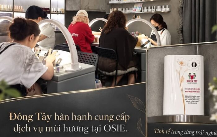 Spa Nên Dùng Tinh Dầu Gì Để Khách Thư Giãn Và Khử Sạch Mùi Ẩm Mốc?