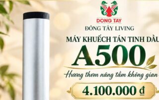 Địa Chỉ Bán Máy Khuếch Tán Tinh Dầu Tự Động Uy Tín, Giá Tốt