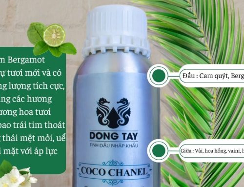 Mua Tinh Dầu Xông Phòng Cao Cấp Ở Đâu Uy Tín?