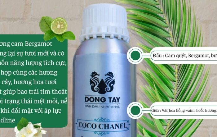 Mua Tinh Dầu Xông Phòng Cao Cấp Ở Đâu Uy Tín?