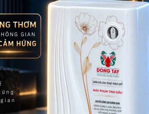 So Sánh Máy Khuếch Tán Tinh Dầu Dùng Nước Và Máy Phun Tinh Dầu Khô: Loại Nào Tốt Hơn?
